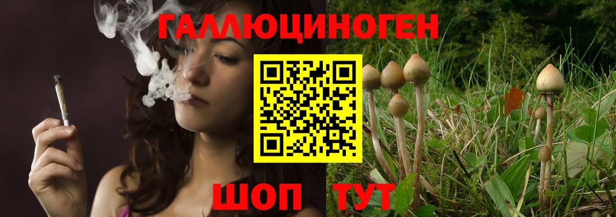 Псилоцибиновые грибы Psilocybine cubensis  Псилоцибиновые грибы ЛСД  Кизилюрт  Вход с VPN 